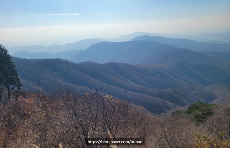 데크 조망점 이미지