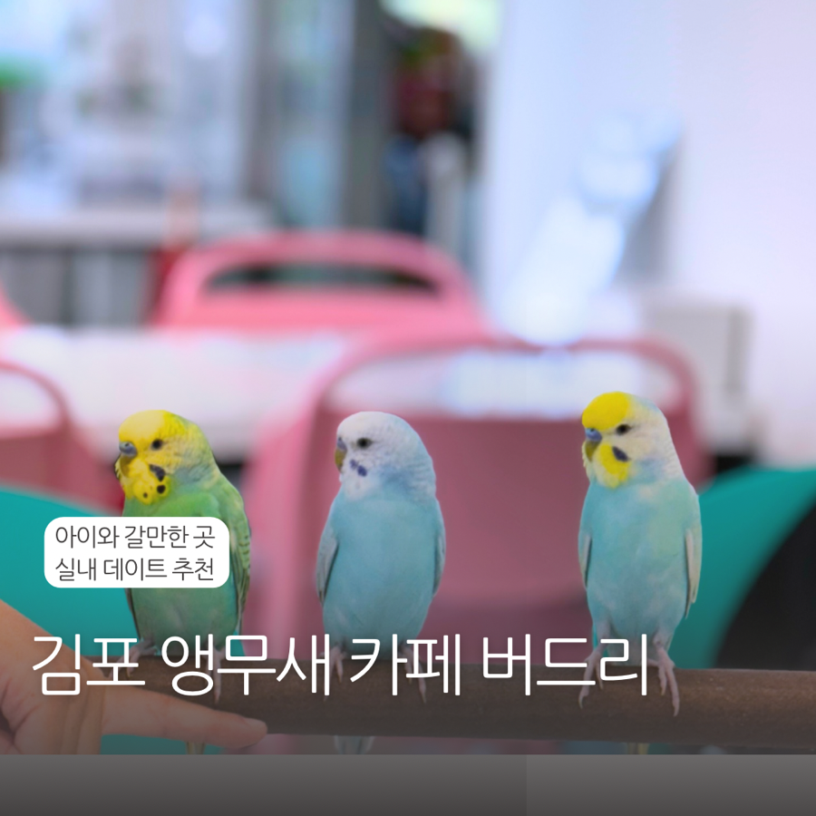 버드리김포 이미지