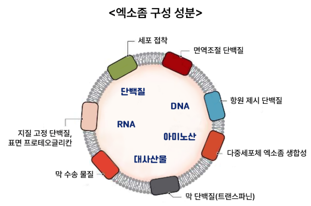 드림광고 이미지