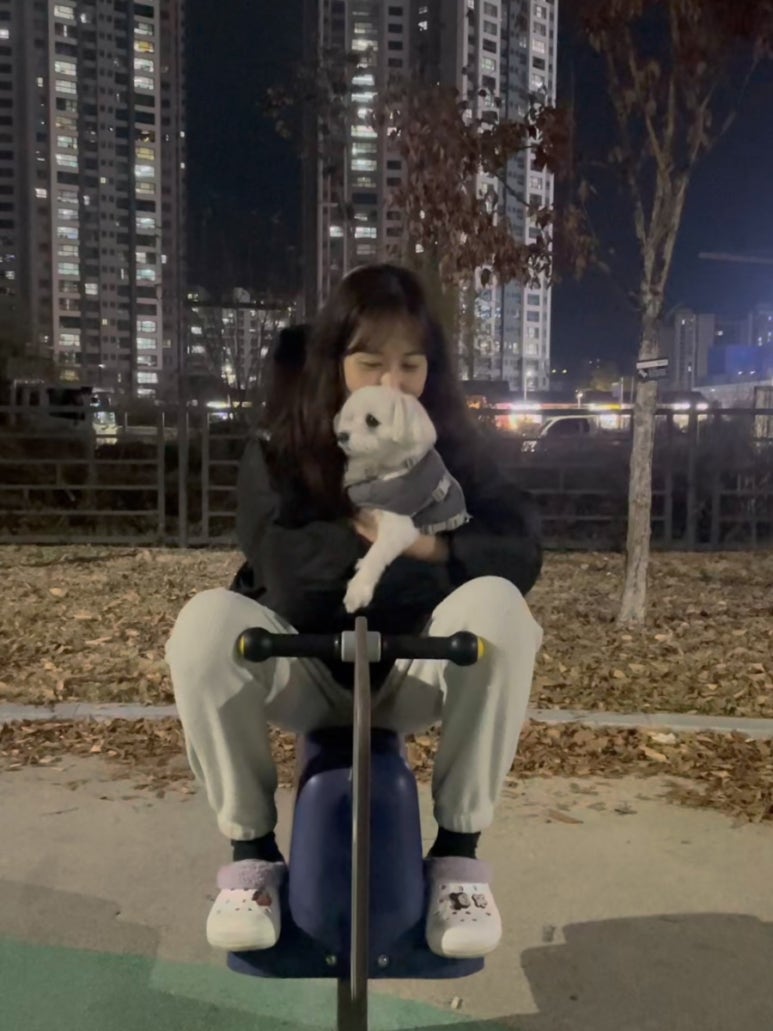 디지모터스 이미지