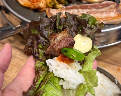 돈우네 이미지