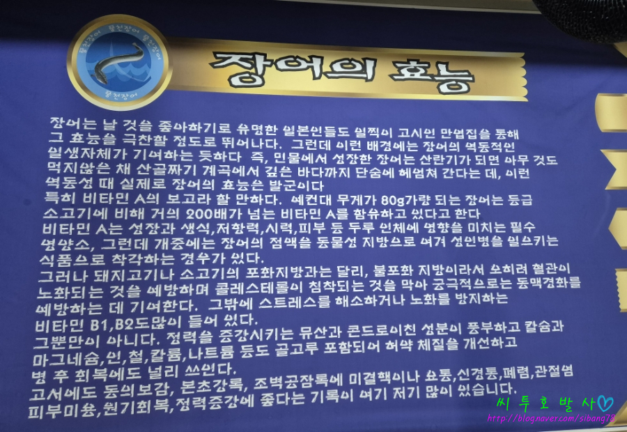 바로잡어 이미지