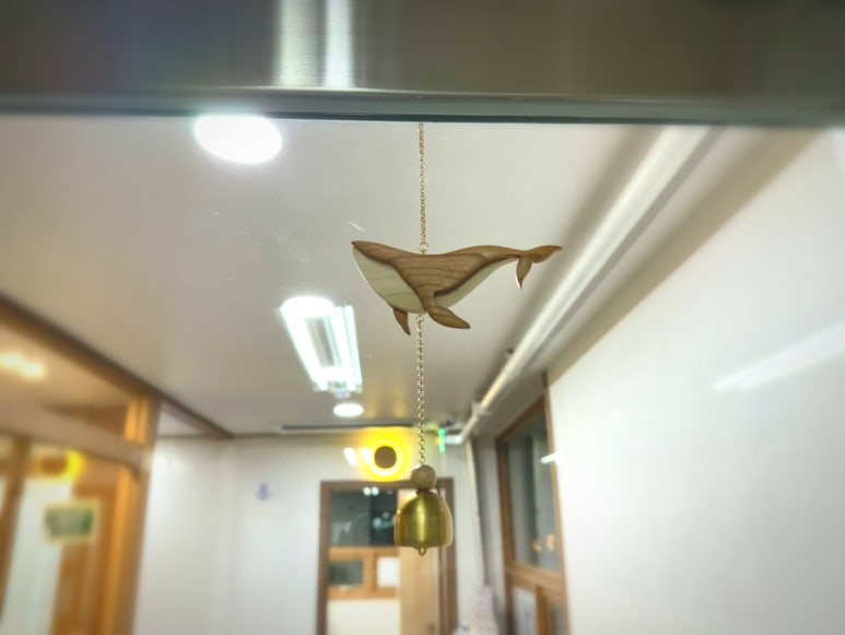 도돌코딩학원 이미지