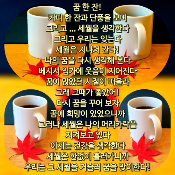 꿈한잔 이미지