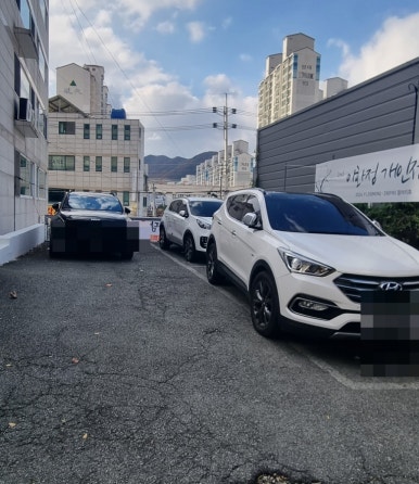 매화담흑염소 이미지