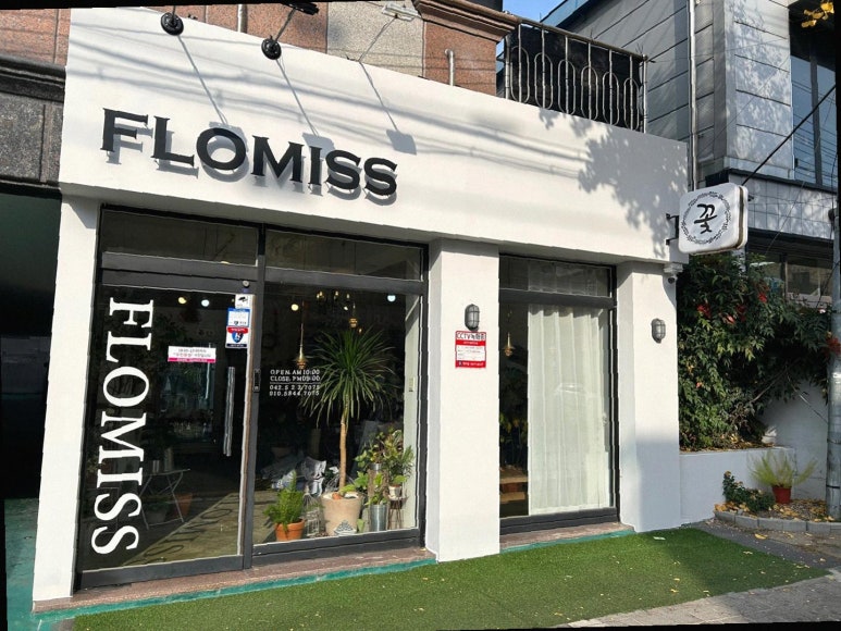 플로미스 이미지