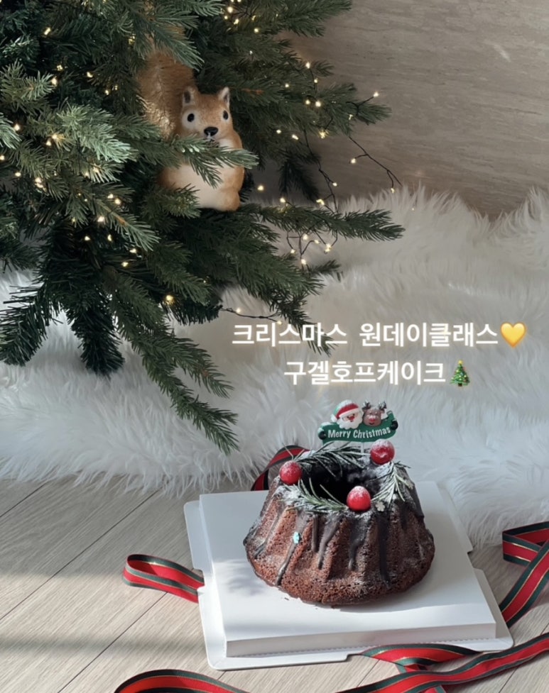 맹그노니 이미지