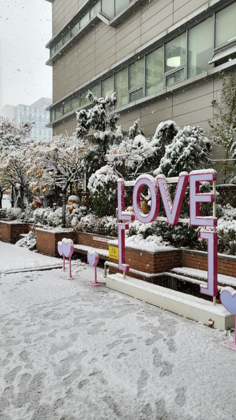 정들다 이미지