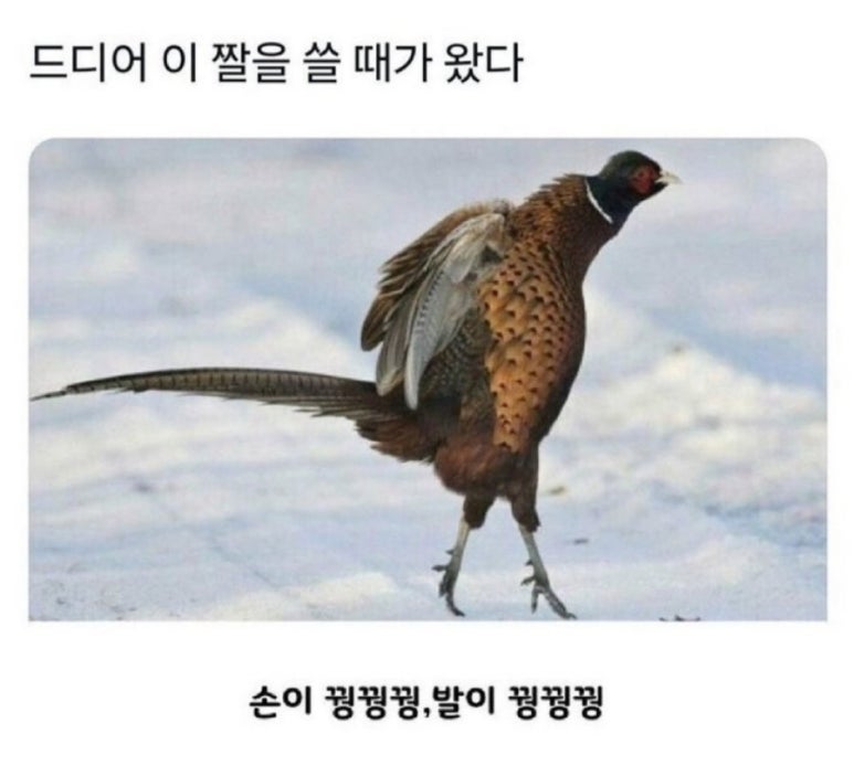 전통손칼국수 이미지