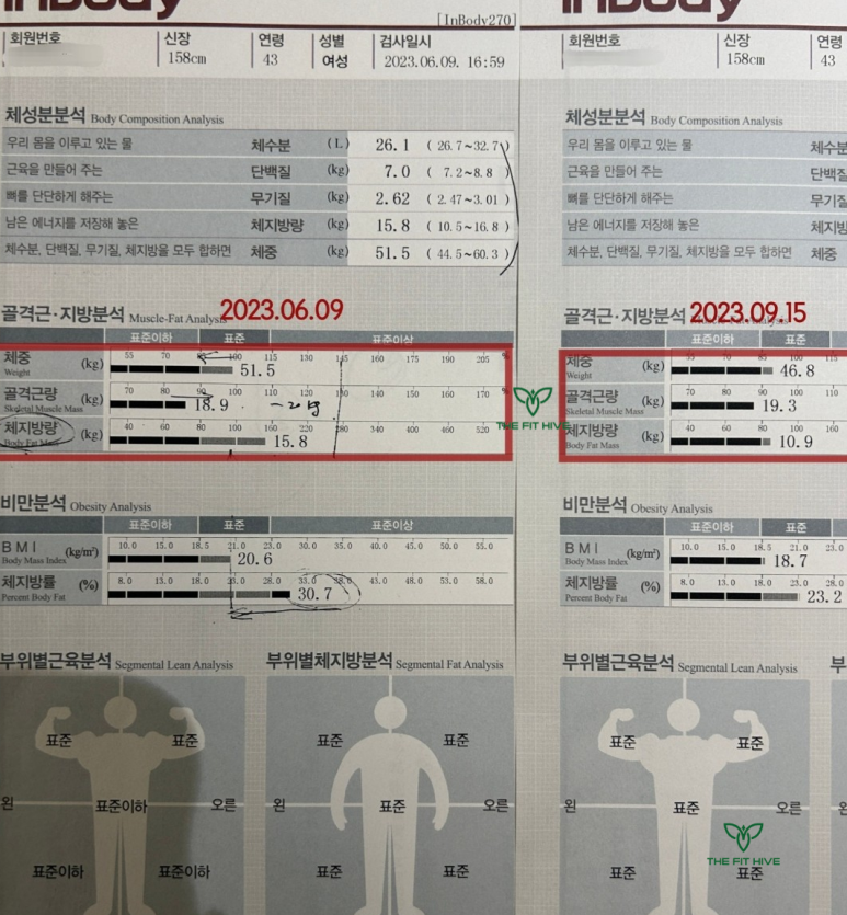더핏하이브 이미지