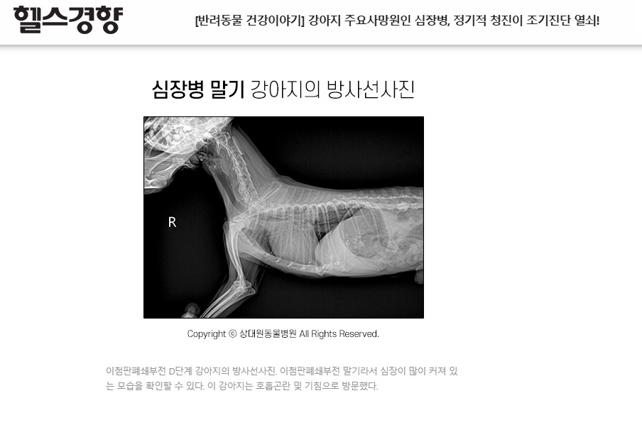 청진열쇠 이미지