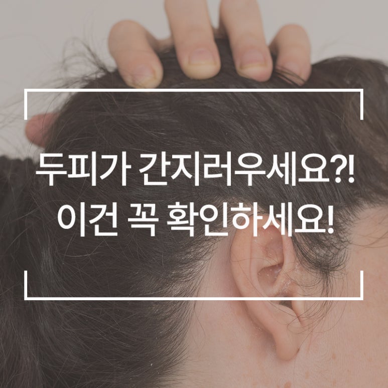 웰킨 김포장기점 이미지