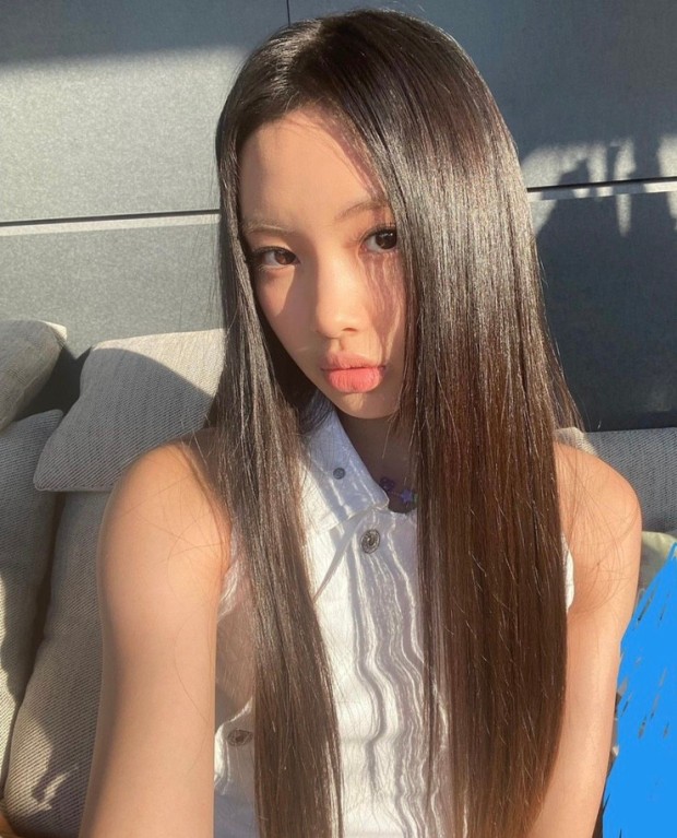 하우헤어 이미지