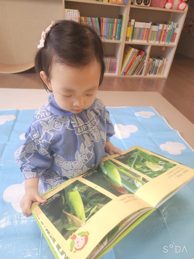 재미유아 이미지