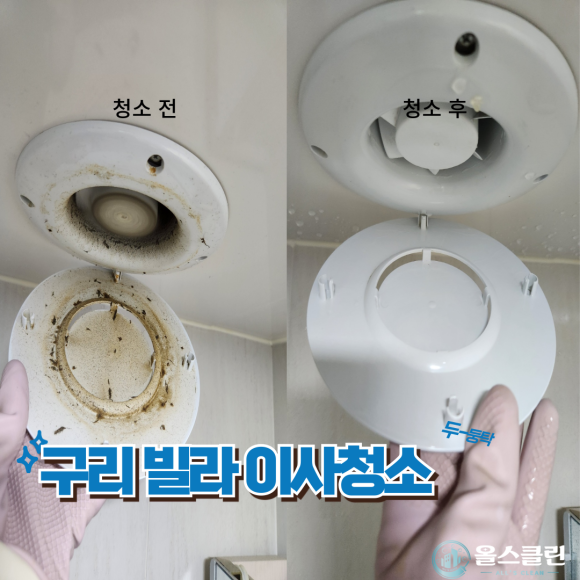 올스클린 이미지