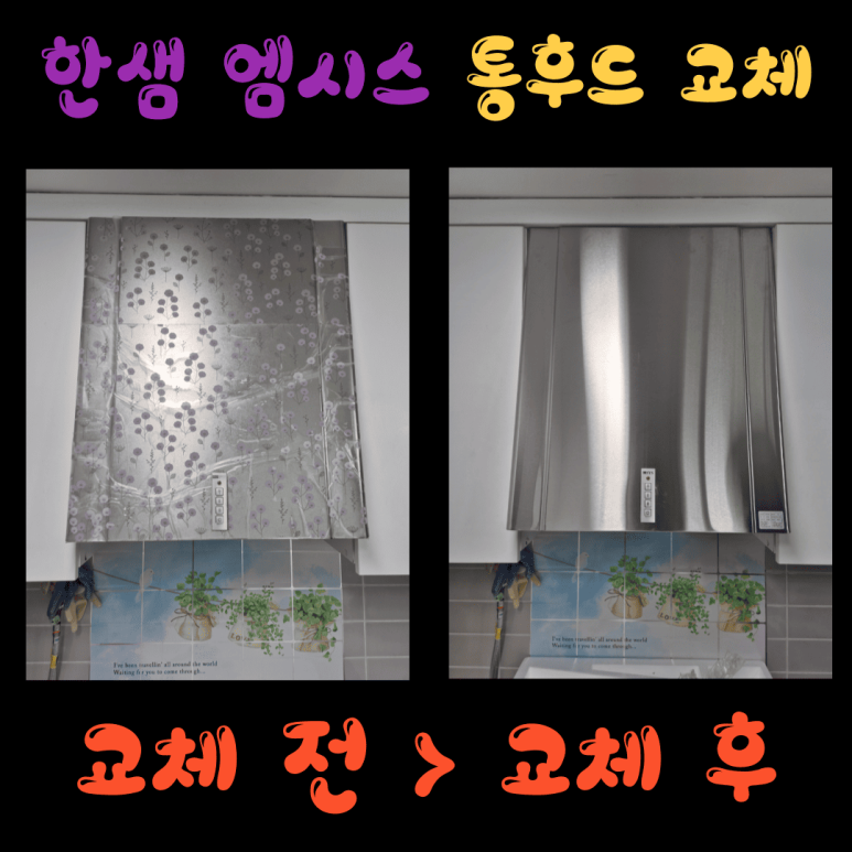 엠시스 이미지
