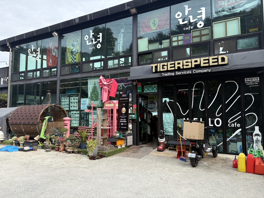타이거오토 이미지