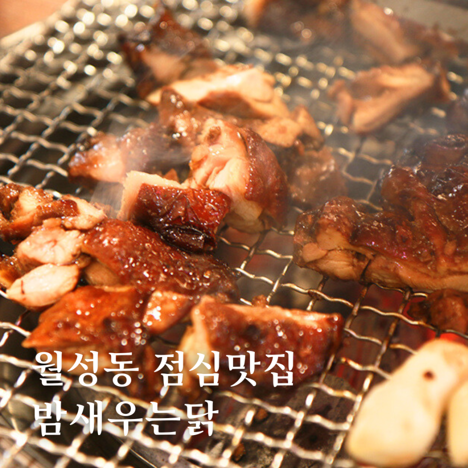 밤새우는닭 이미지