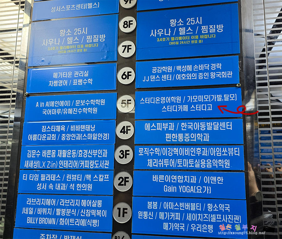 가모미모 이미지