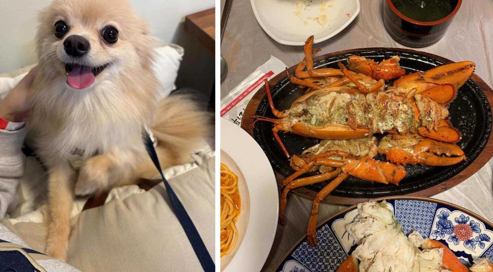 왕궁대게킹 이미지