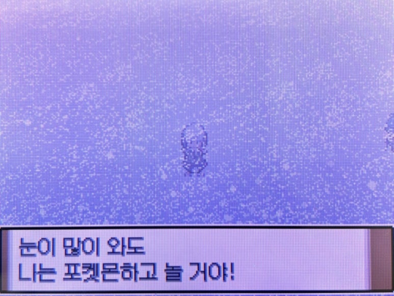 고다 이미지