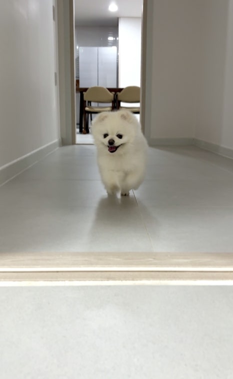 강릉풀빌라수 이미지