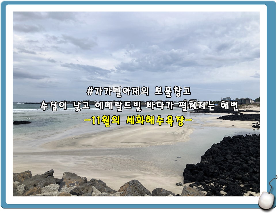 세화여행주 이미지