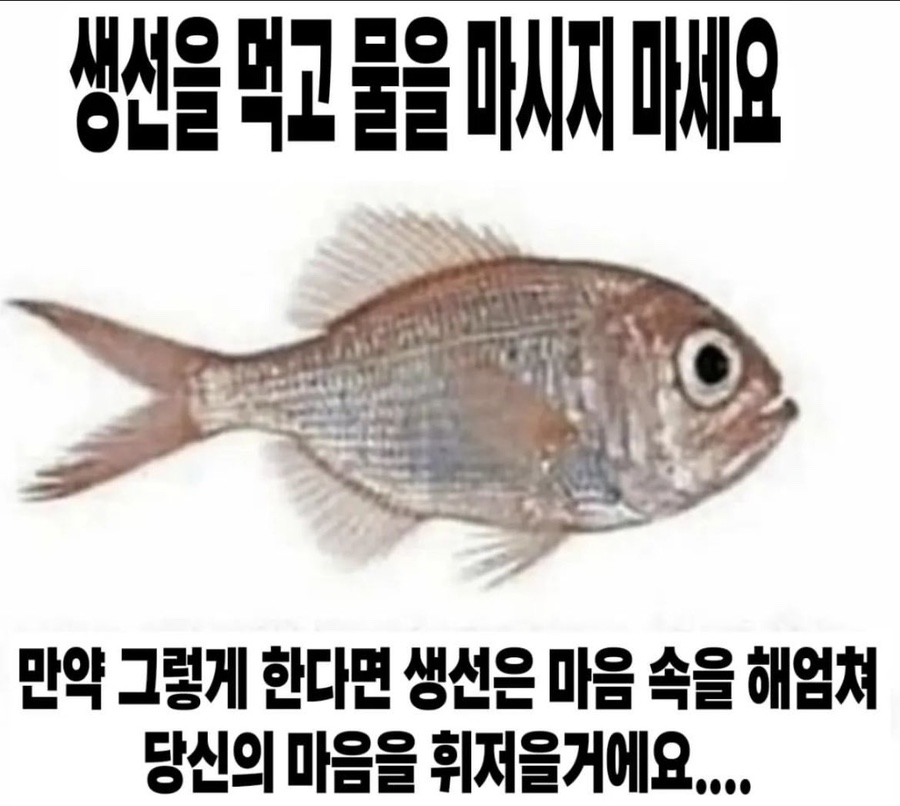 11-17 이미지