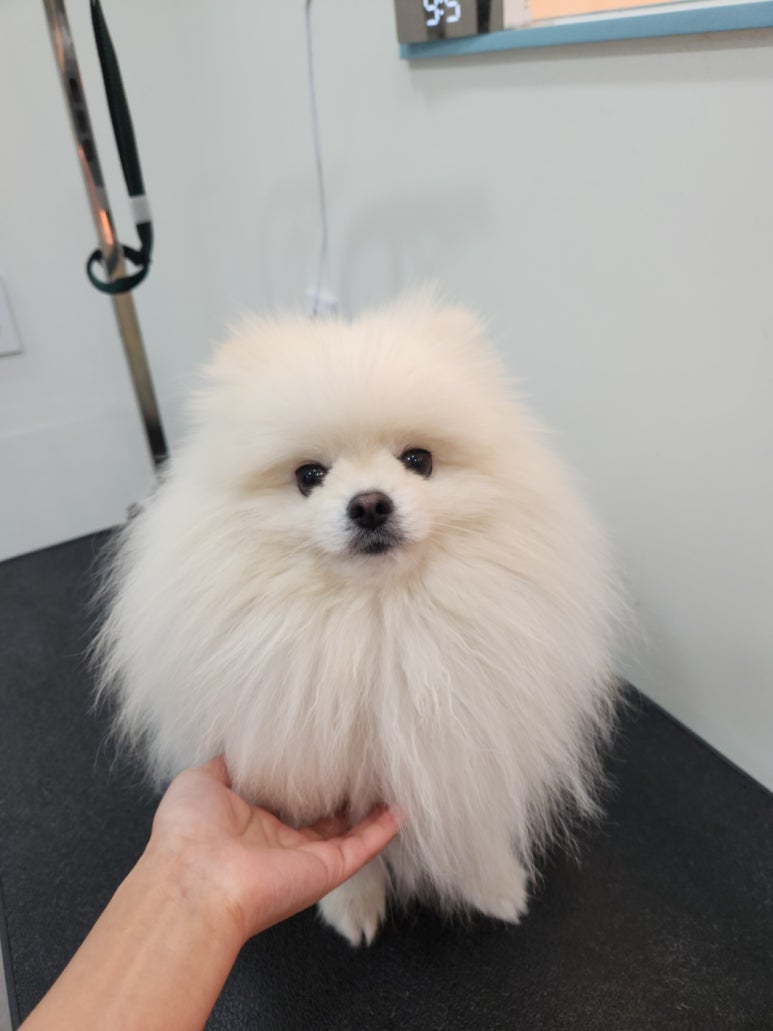포도미용실 이미지