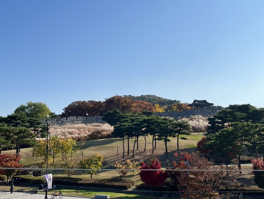 베이지끄 이미지