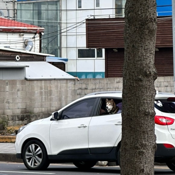 남가네설악추어탕도남점 이미지
