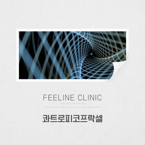 필라인 이미지