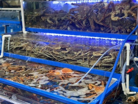 순천만수산횟집 이미지