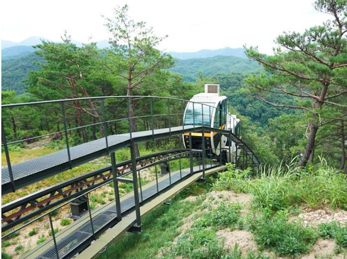 숲향여행사 이미지