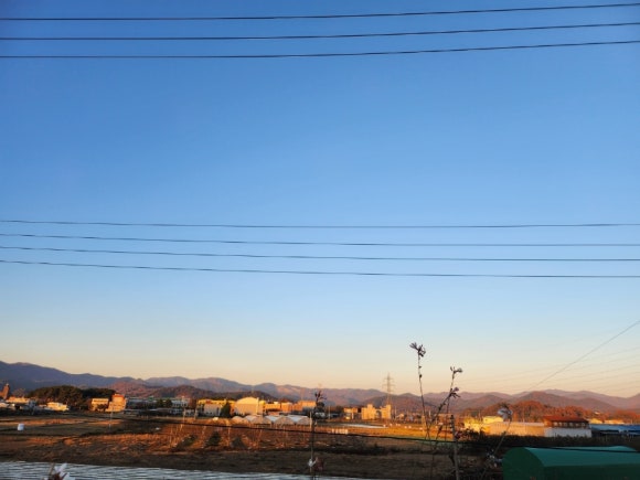 온민박 이미지