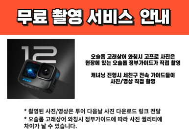 세친구투어 이미지