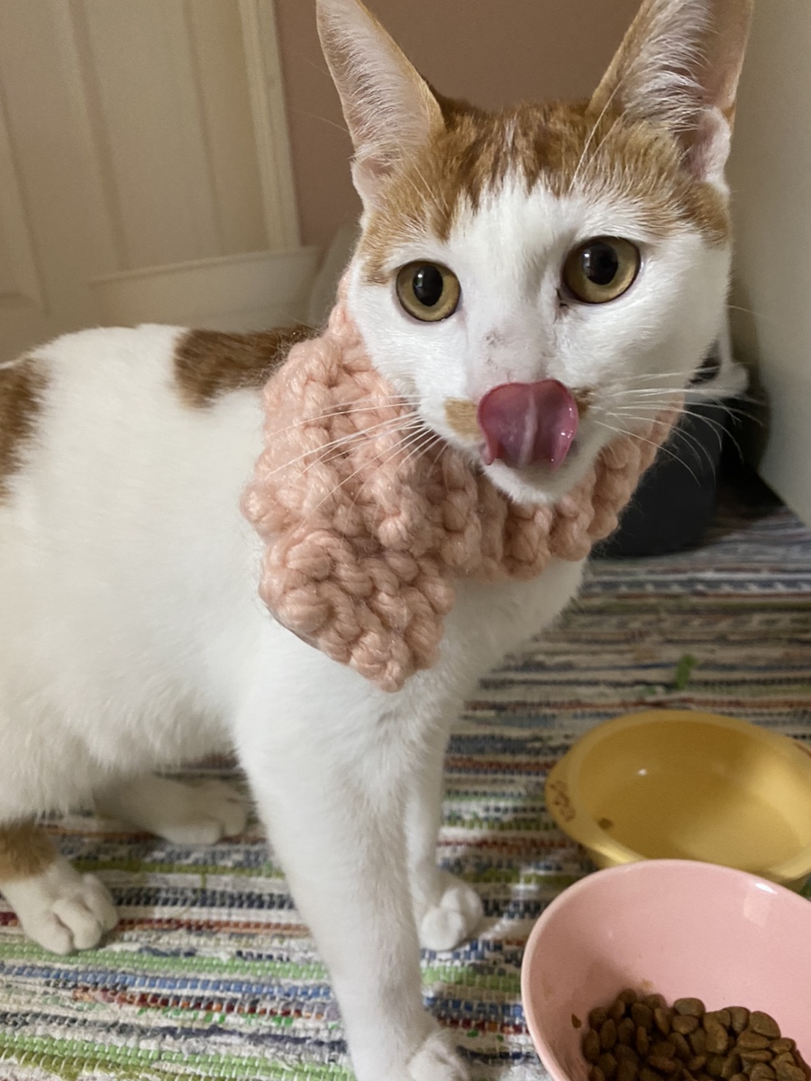 로이샾 이미지