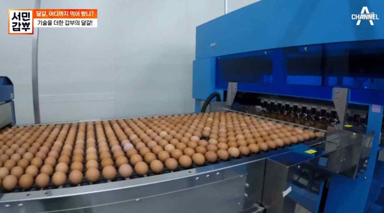 한솔마트 이미지