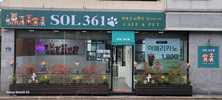 카페솔 이미지