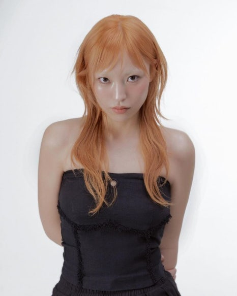 헤어브릭 이미지