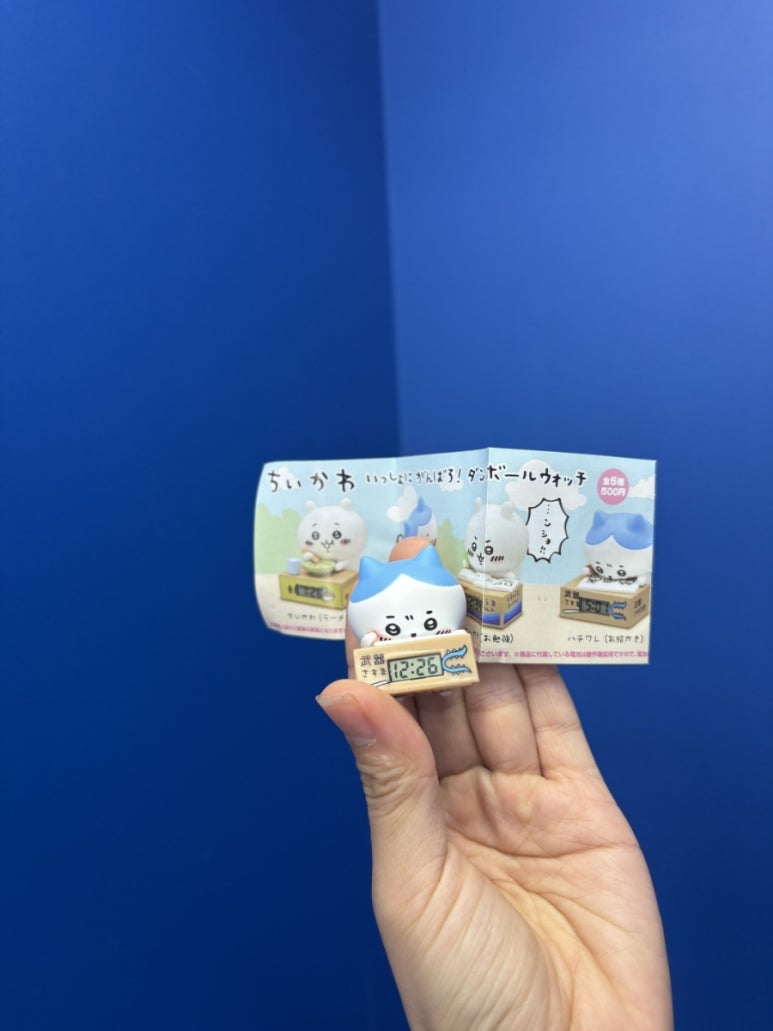 가챠콩 이미지