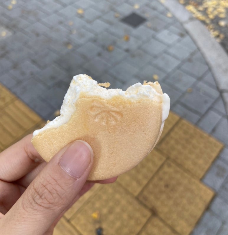 아오타 이미지