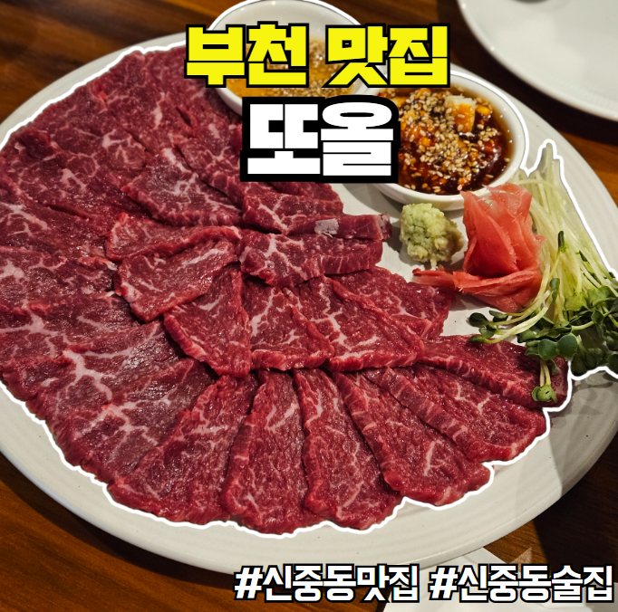 또올 이미지