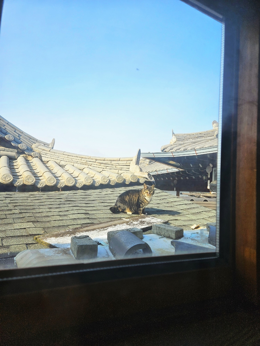 풍경소리펜션 이미지