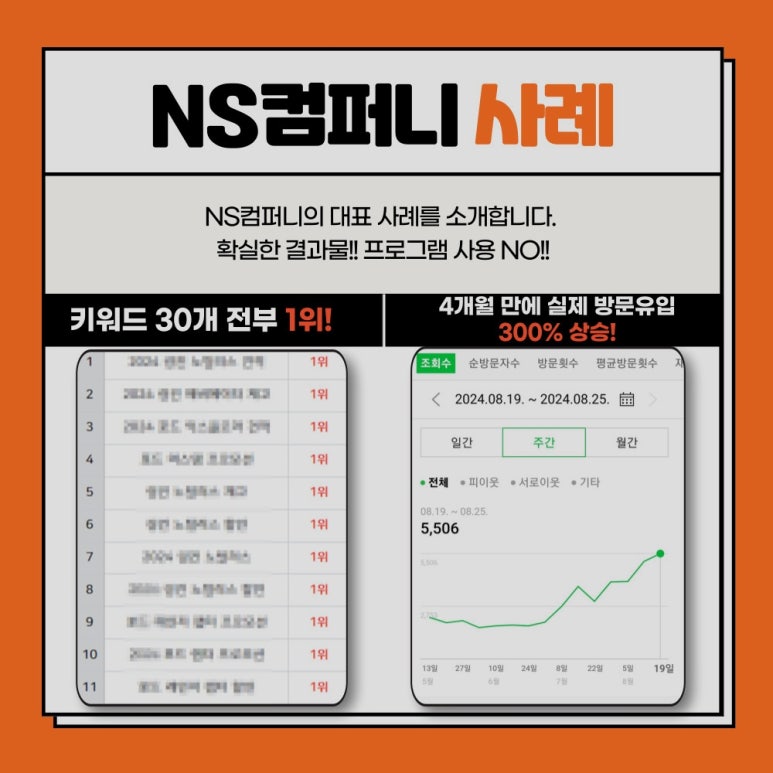 엔에스와이 이미지