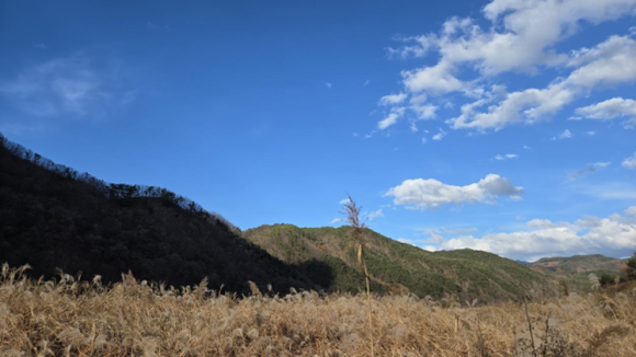 어린왕자펜션 이미지