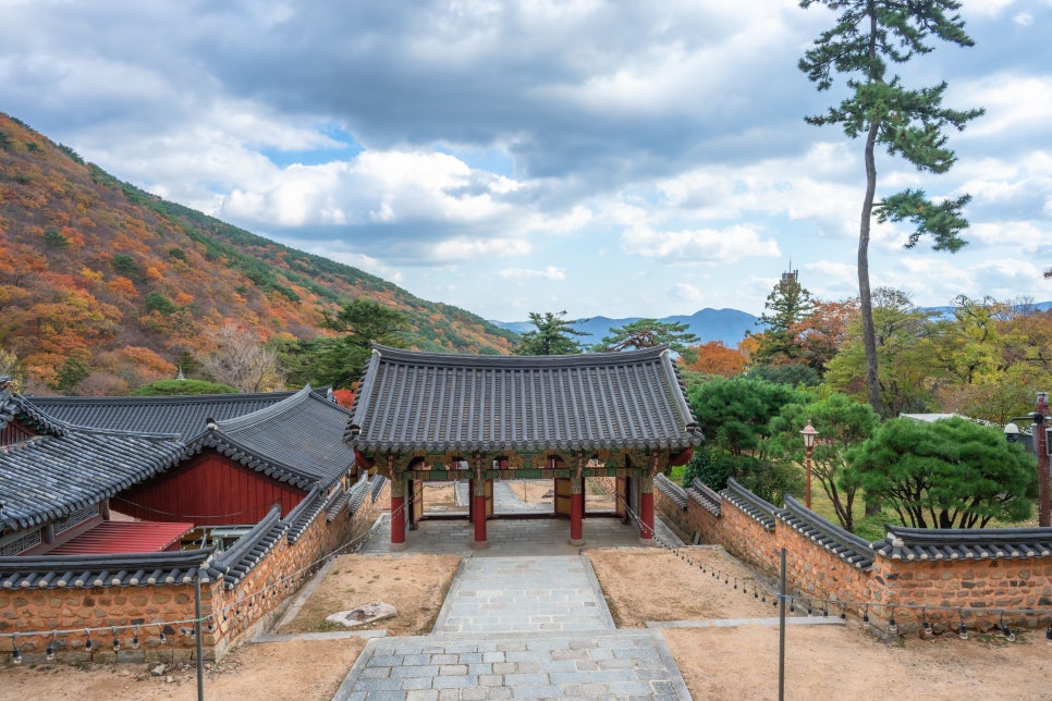 노포IC(부산) 이미지