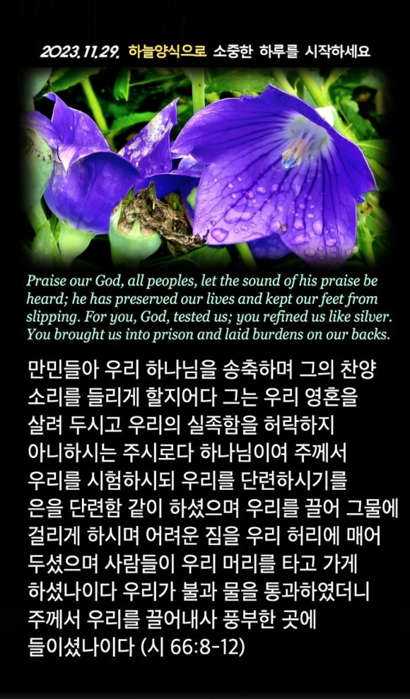 하늘29 이미지