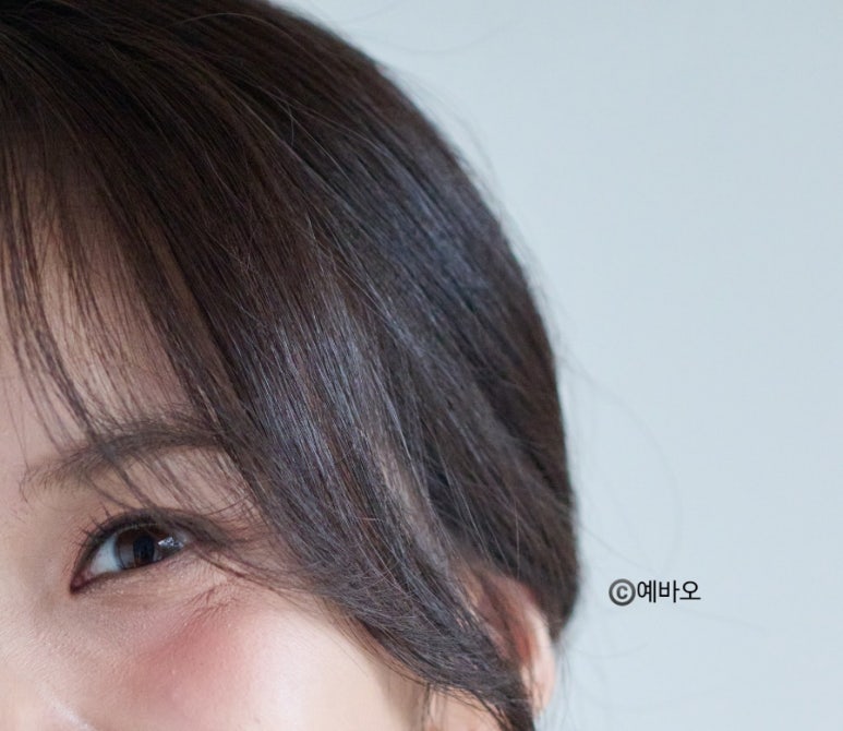 비르헤어 이미지