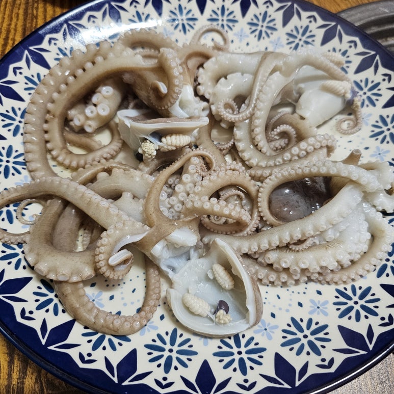 동왕산낙지 이미지